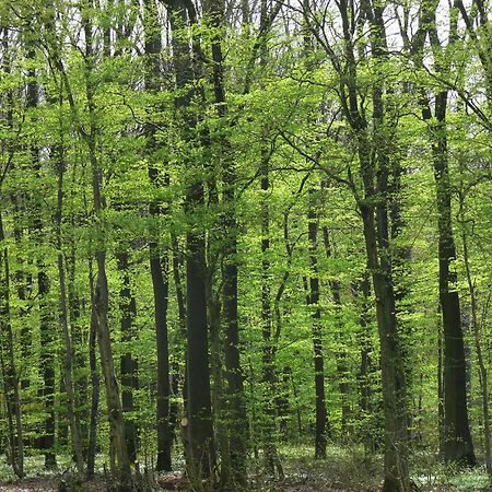 Ferienwohnungen Fischer Strullendorf Esterno foto
