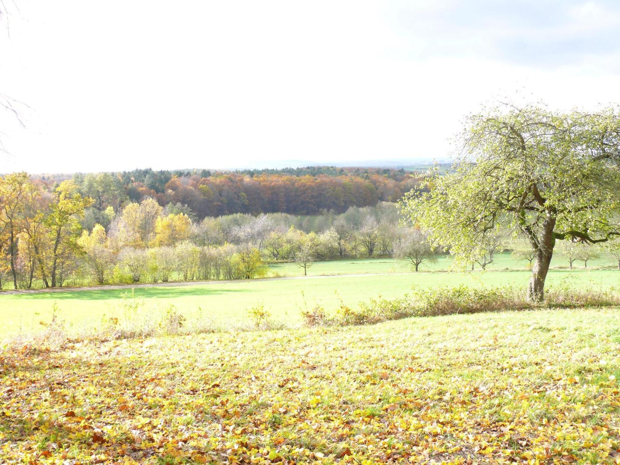 Ferienwohnungen Fischer Strullendorf Esterno foto
